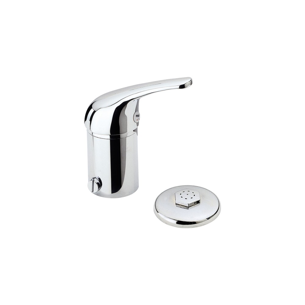 Single lever bidet mixer with shower