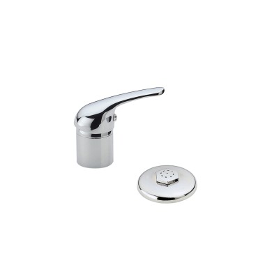 Single lever bidet mixer with shower